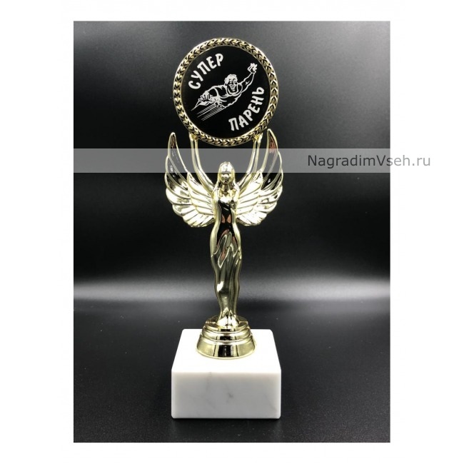 Награда Ника Супер Парень